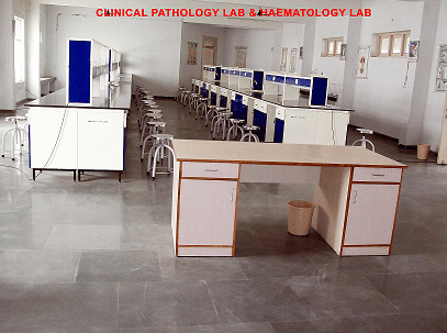 Department Image