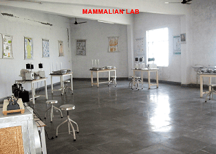 Department Image