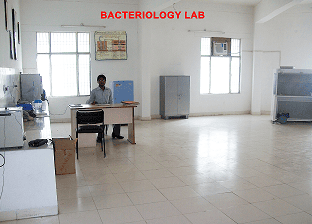 Department Image