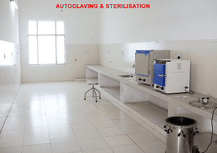 Department Image