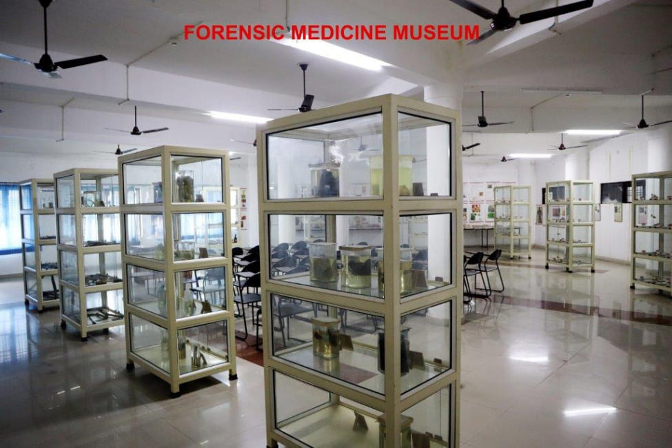 Forensic Medicine Department