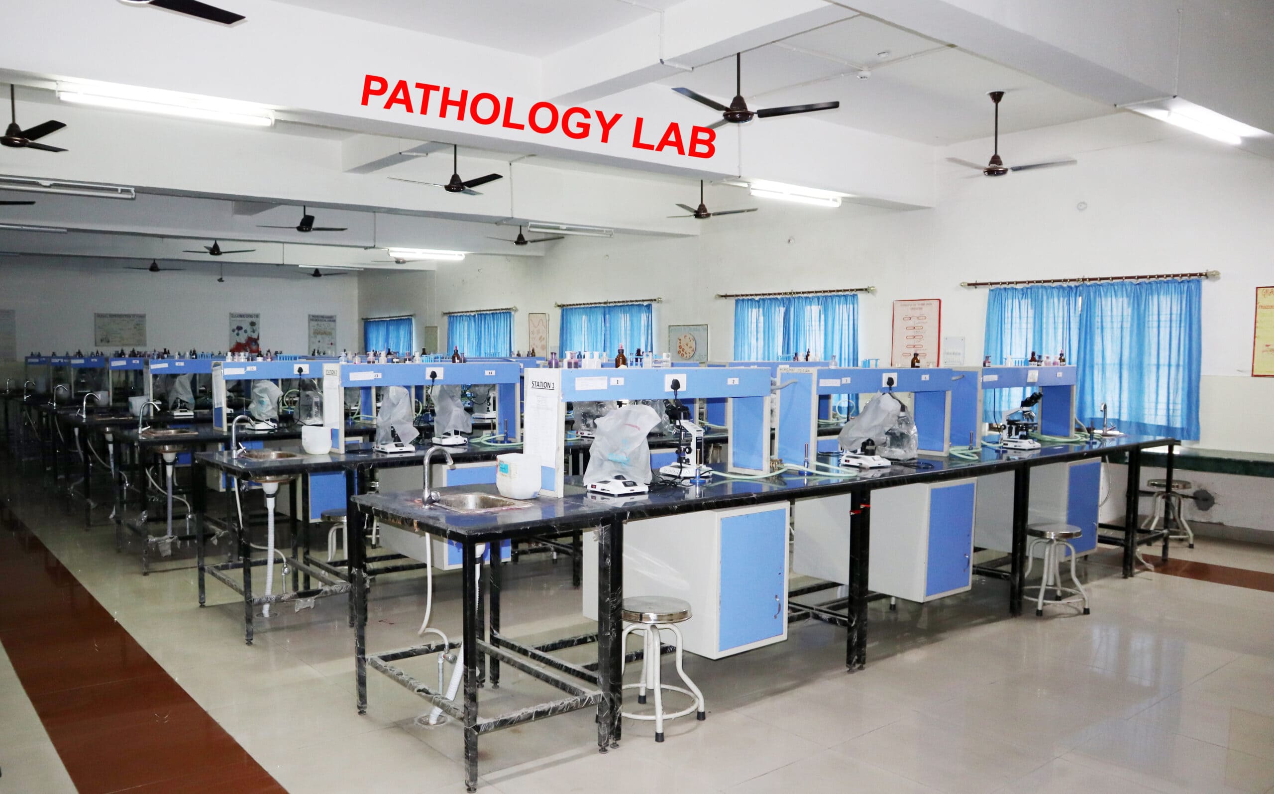 Pathology and Blood bank Department