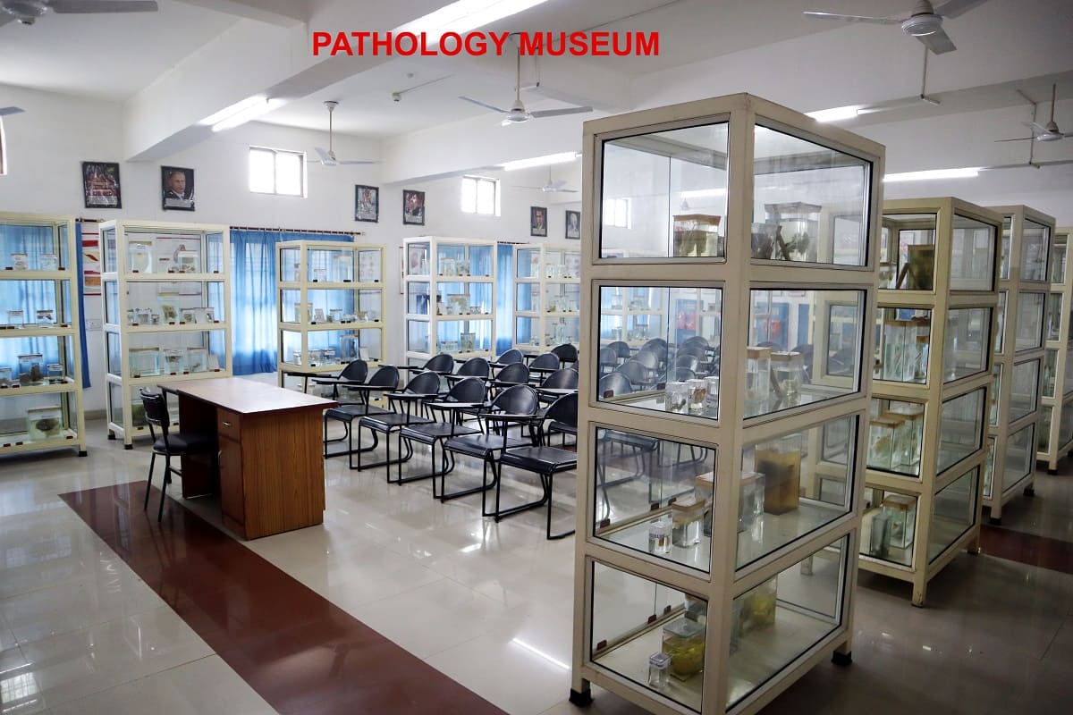 Pathology and Blood bank Department