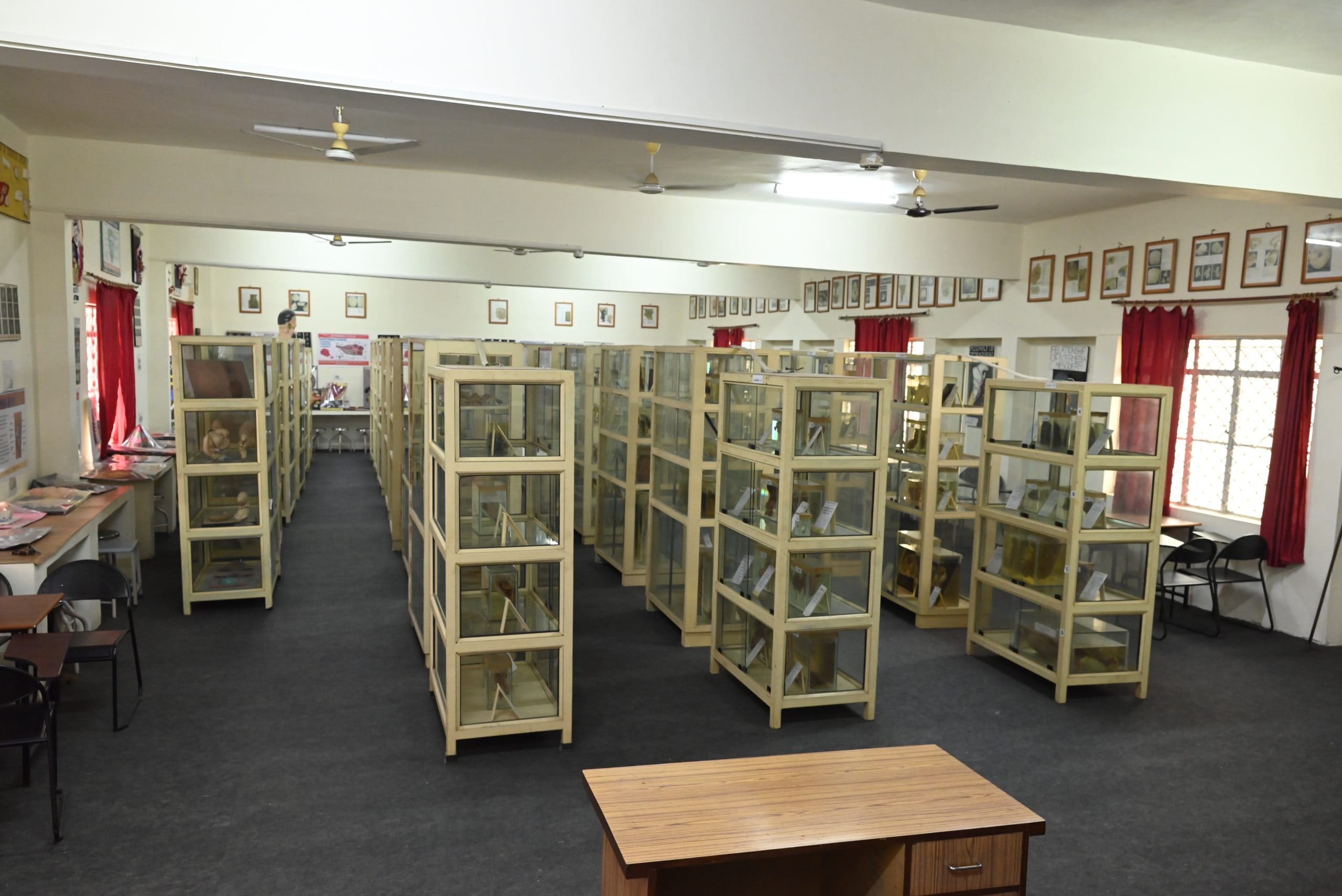 Museum