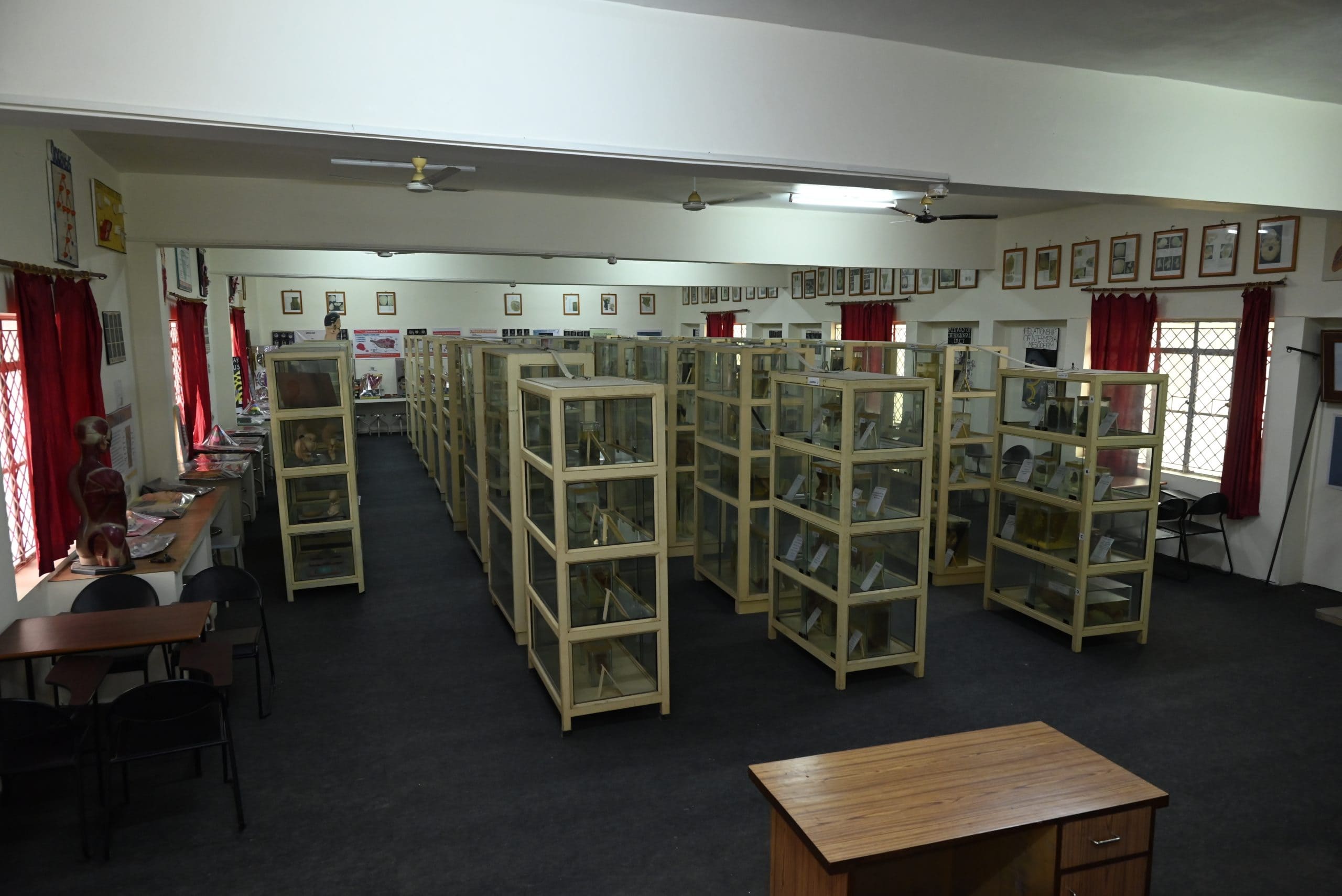 Museum