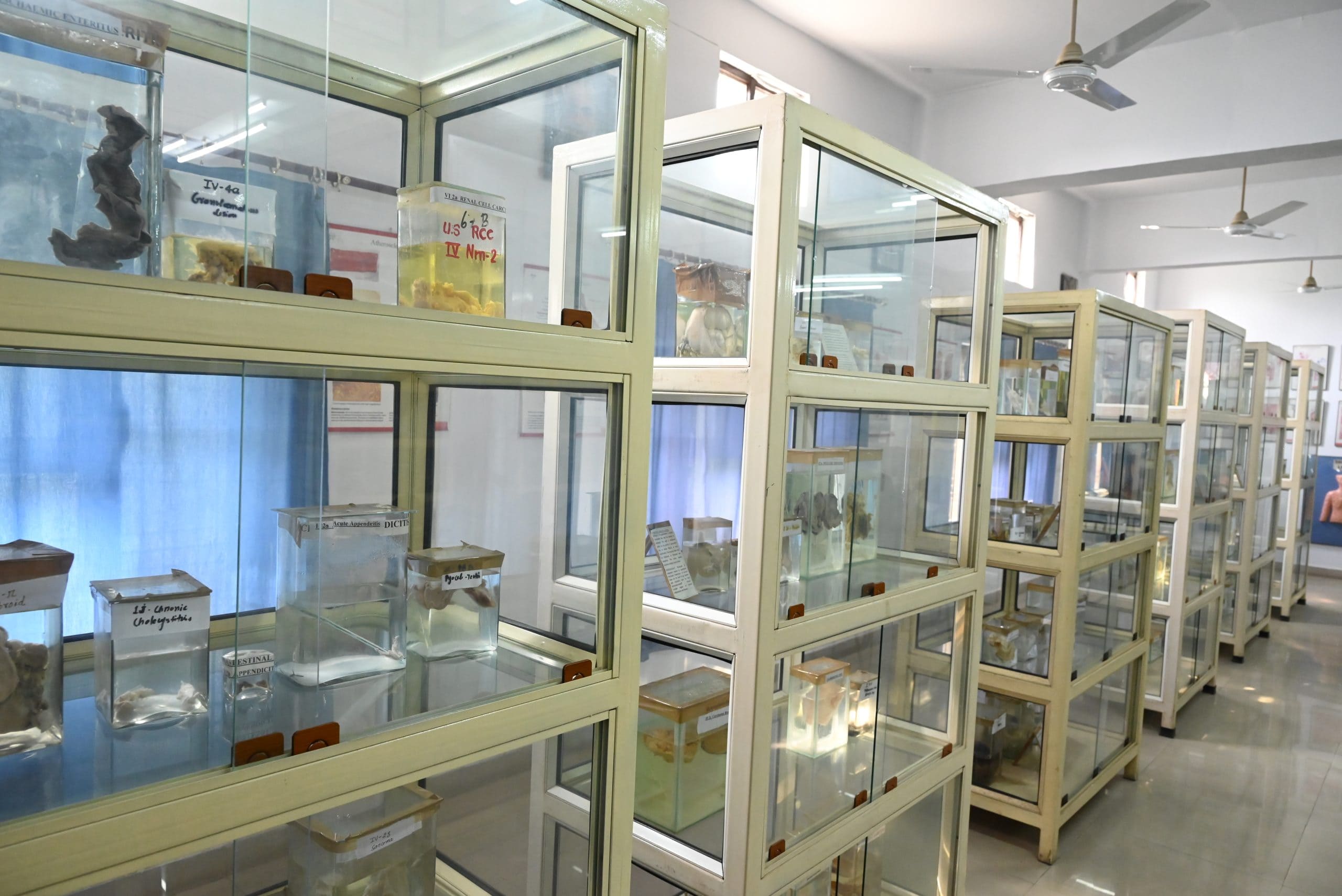 Museum