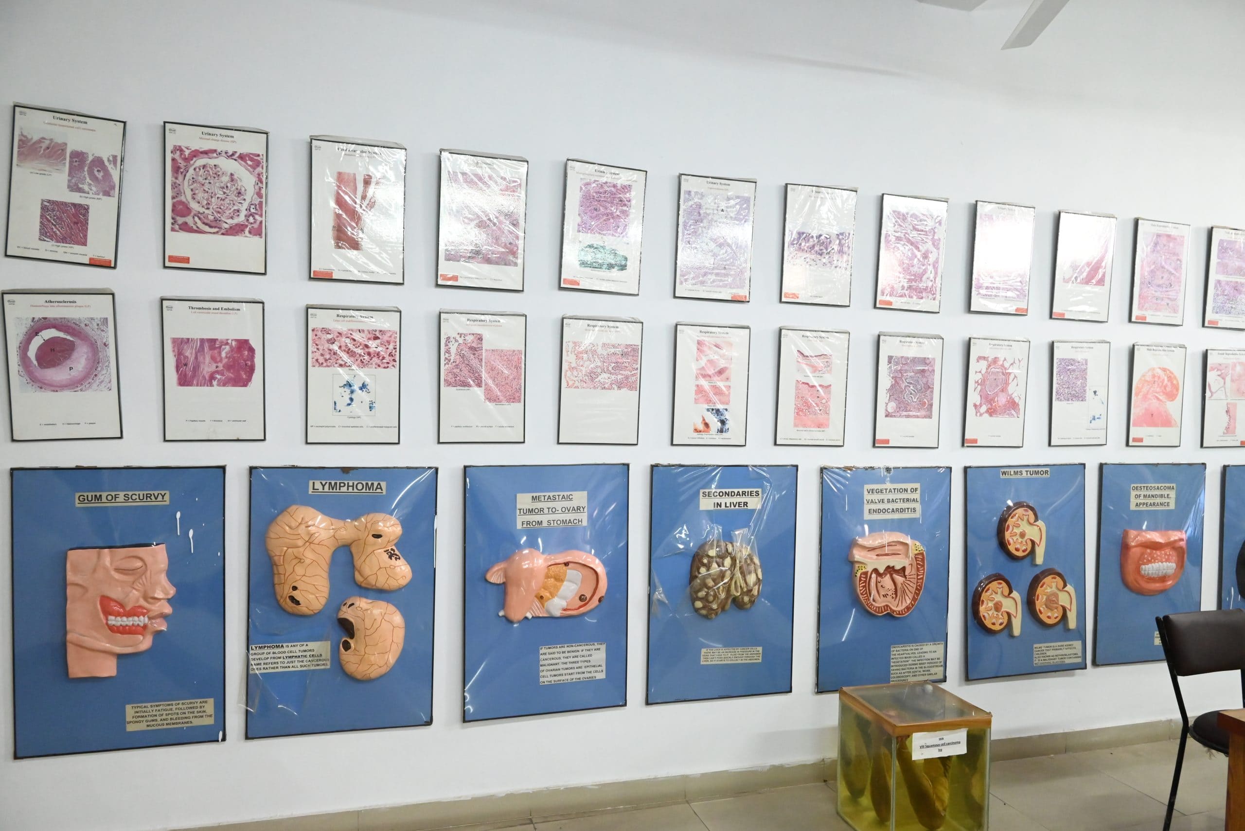 Museum