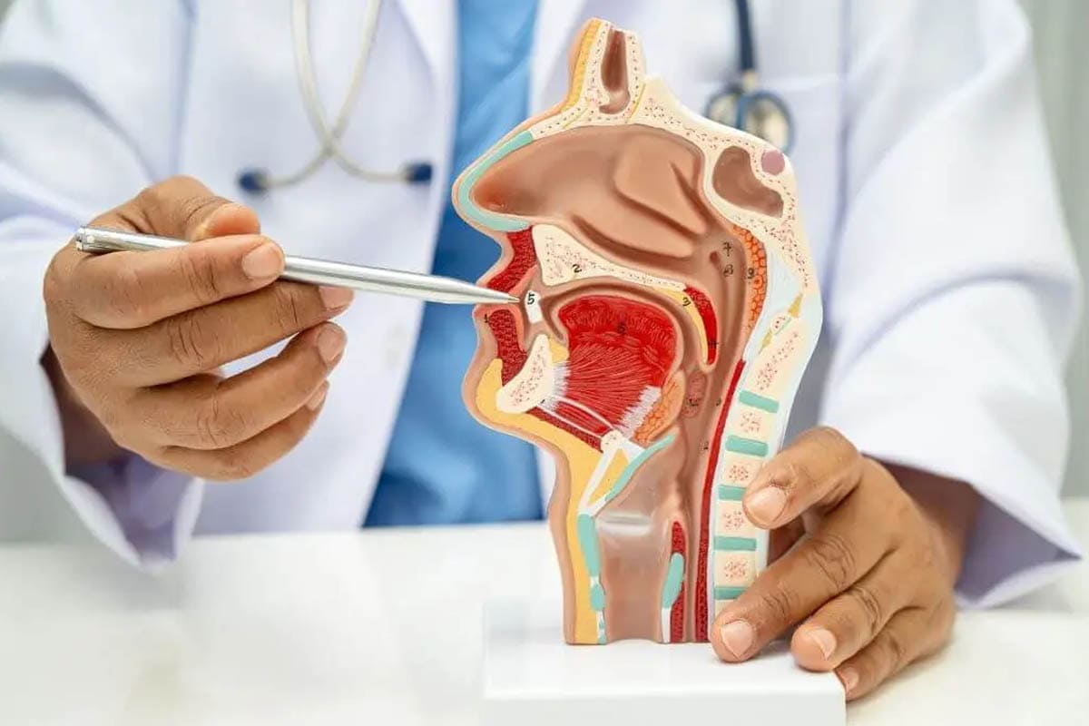Oto-Rhino-Laryngology